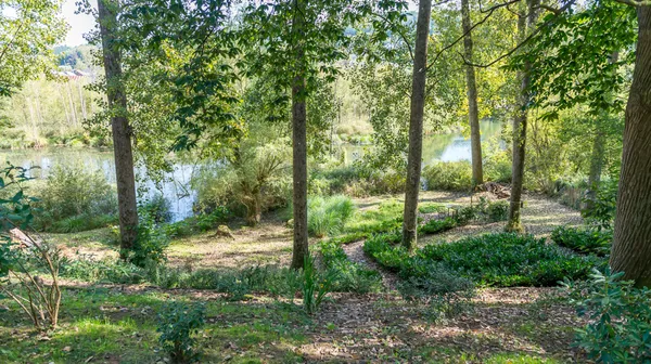 1770285768-21) wilde tuin (15)